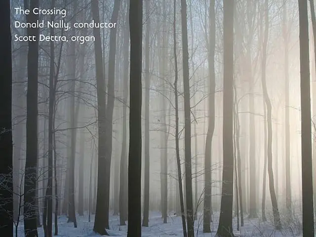 In this image there are many trees. On the ground there is snow. In the top and bottom there are...