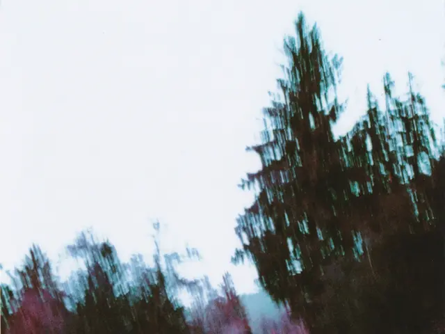 Here there are trees, this is road and a sky.