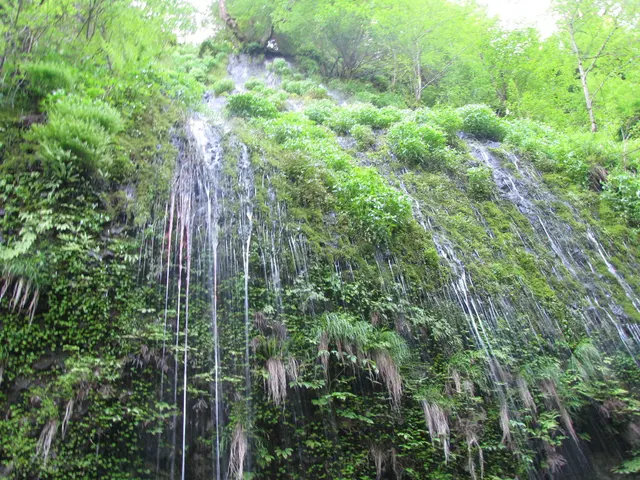 In the picture I can see the waterfall and trees on the hills.