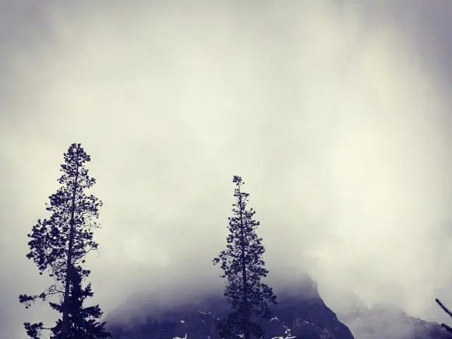 In this picture I can see that there are some trees, mountains and the sky is cloudy.