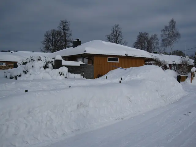 In the image we can see there is ground covered with snow and there are buildings. Behind there are...