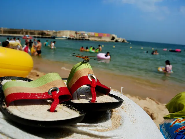 In this image there is a pair of sandals, there is an insect on one of the sandal , woven bags ,...