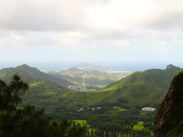 In this picture I can see the hills, number of trees and few buildings. In the background I can see...