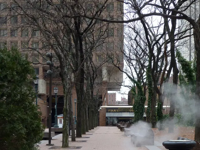 In this image there is a path in the middle. There are trees on either side of it. In the...