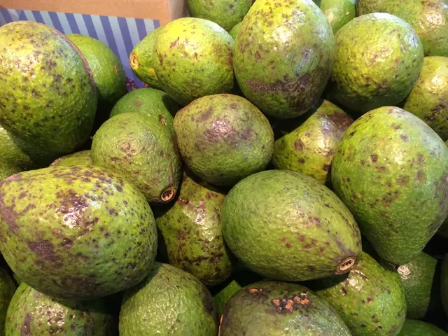 In this image I can see few fruits in green color.