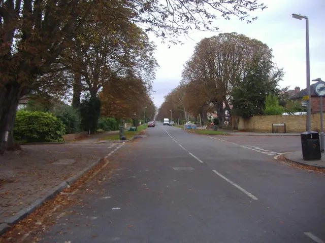 In this image there are a few vehicles on the road, on the either side of the road on the pavement...