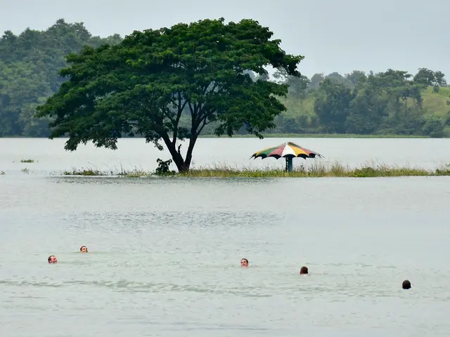 As we can see in the image there is water, an umbrella, grass, few people here and there, trees and...