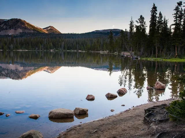 There is water and stone in the foreground, there are trees, mountains and sky in the background...