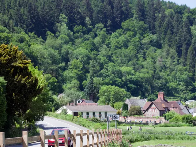 In this image we can see a car travelling on the bridge, at the back there are trees, here is the...