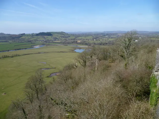 In this image there are trees, grass, ponds and mountains.