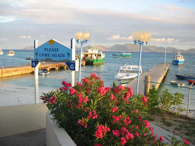 In this image in the front there are flowers and there are plants. On the right side there is a...