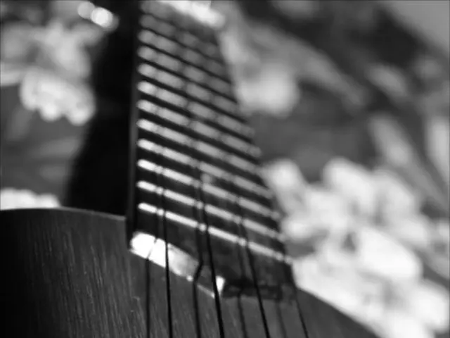 This is the image of the musical instrument.