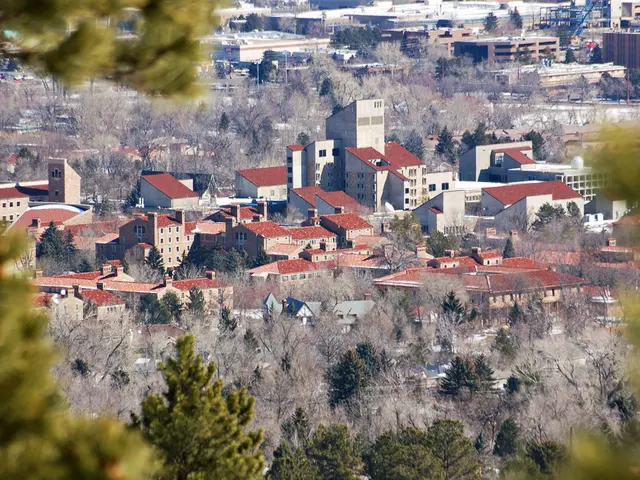 In this image I can see few trees which are green in color, few trees which are grey in color and...