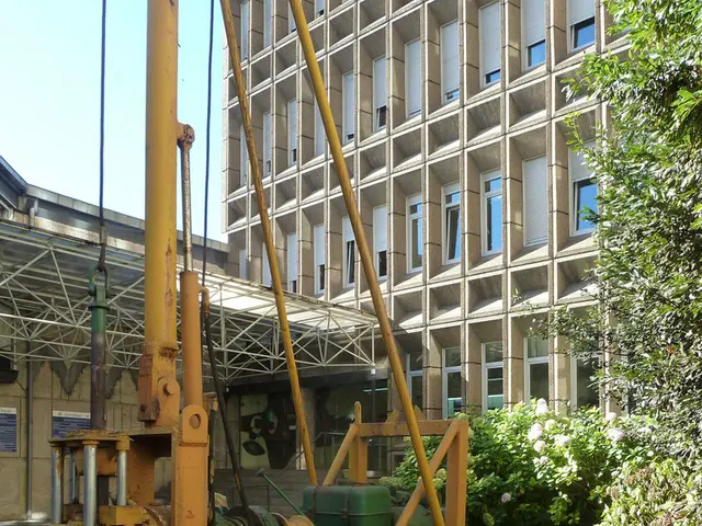 In this picture we can see a machine on the grass. There are a few plants on the right side. We can...