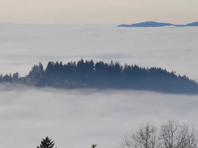 In this image we can see sky, hills, trees and fog.