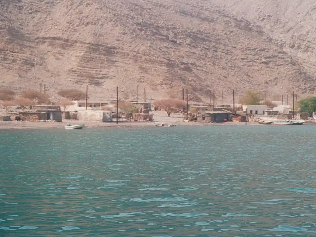 In this image there are boats on a river, on the other side of the river there are trees, houses,...