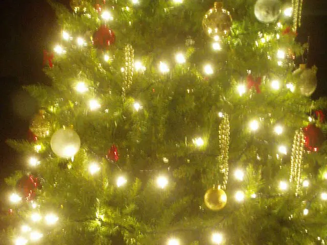 In this image we can see Christmas tree to which there are some lights, balls and some other things...