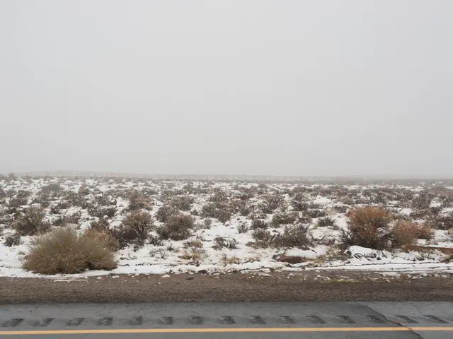 In this image I can see planets and ice on the ground. At the top I can see the sky. This image is...