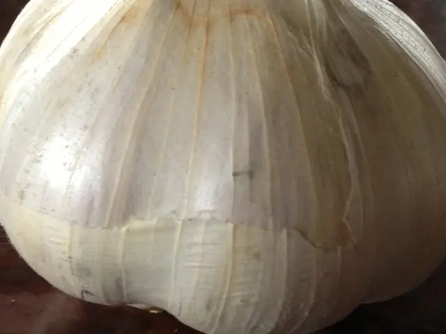 In this image I can see garlic which is in white color on the wooden surface.
