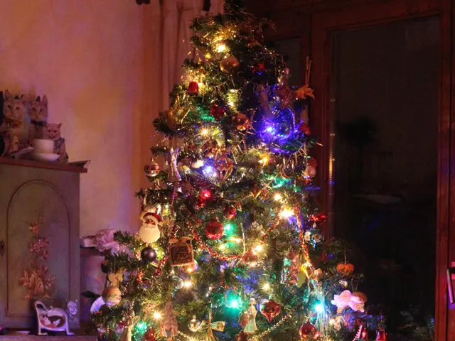 In this image there is a Christmas tree which is decorated with few lights and decorative items on...