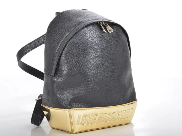 This black and gold color bag is highlighted in this picture.