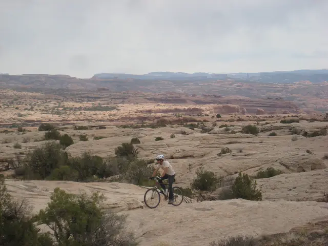 In the center of the image there is a person riding a bicycle wearing a helmet. At the bottom of...