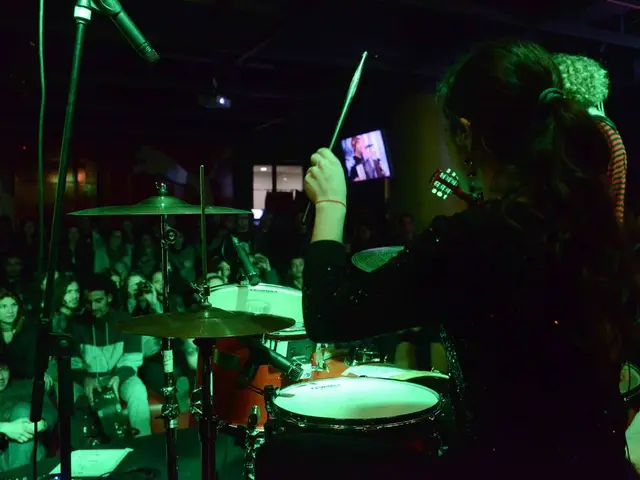 This image is clicked in a musical concert. There is one person on the right side, she is playing...