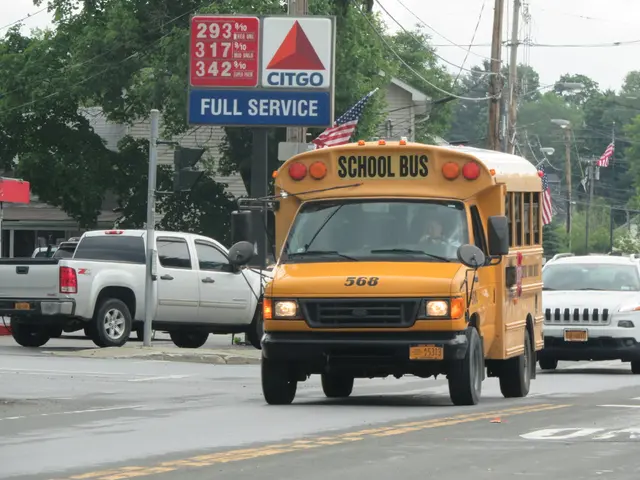 In this image we can see some vehicles on the road, on a person is driving a school van, there is a...