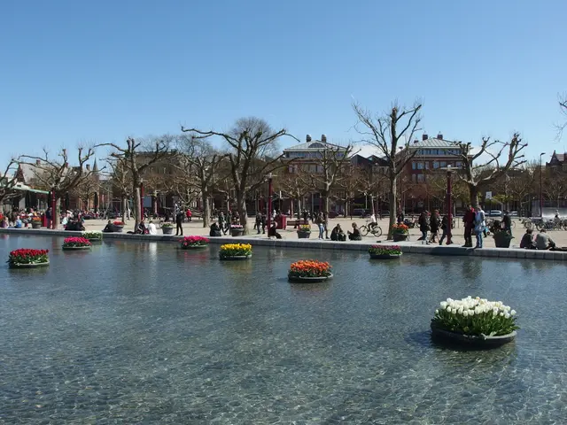 There are trees and buildings, this is water and a sky.