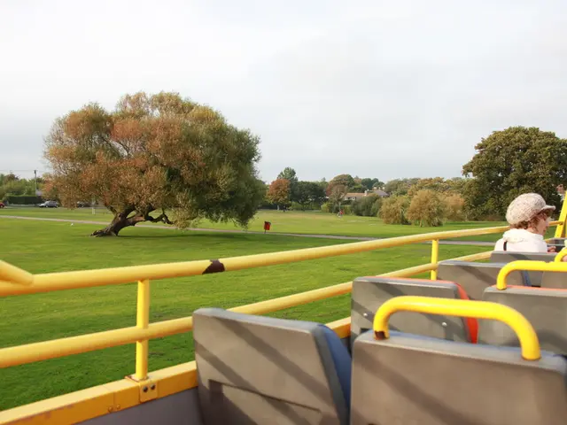 In the foreground of the picture there is a vehicle, in the vehicle there is a woman sitting in the...