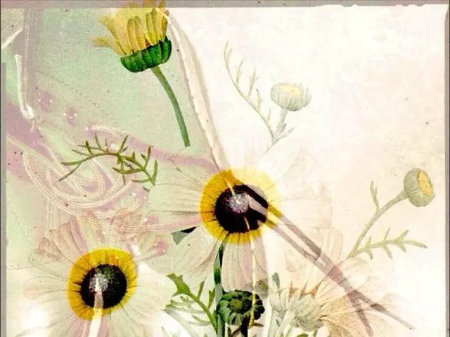 This image consists of flowers. They are in white and pink color. There is a picture of shoe in the...