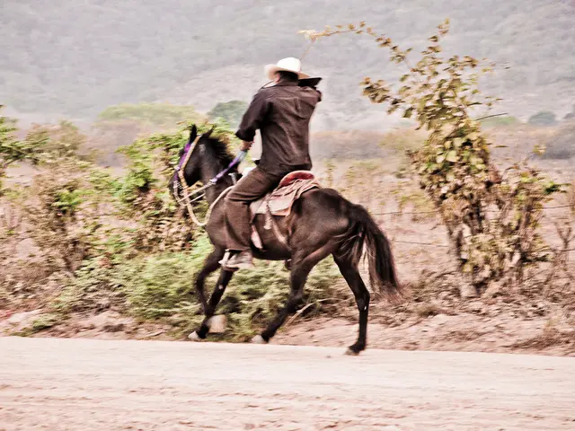 There is a man on a horse in the center of the image and greenery in the background area, It seems...