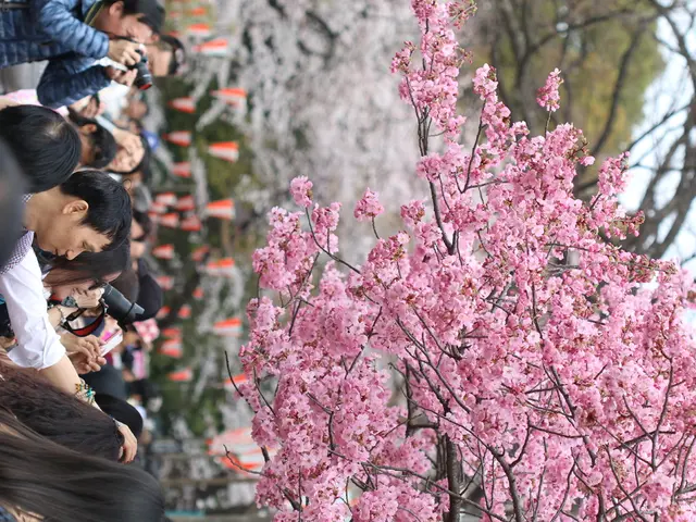 On the right side of the image we can see blossoms. On the left there is crowd and we can see...