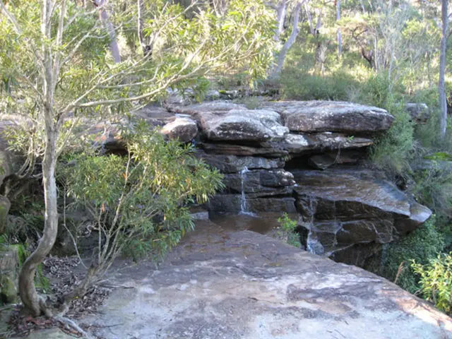 In this image there is a waterfall and trees.