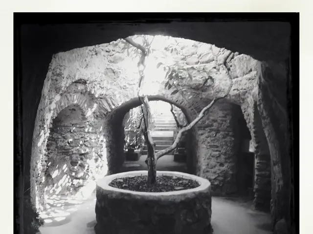 In the picture we can see a tunnel construction in the middle of it we can see a dried plant around...