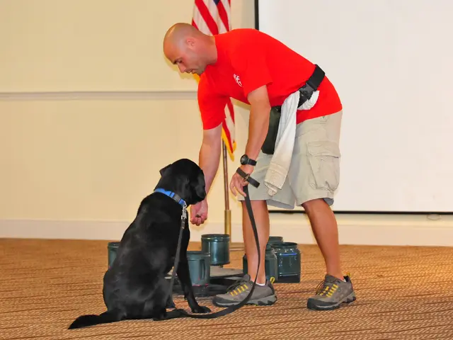 This picture describes about a man holding a dog and we can see some jars, a flag and a projector...