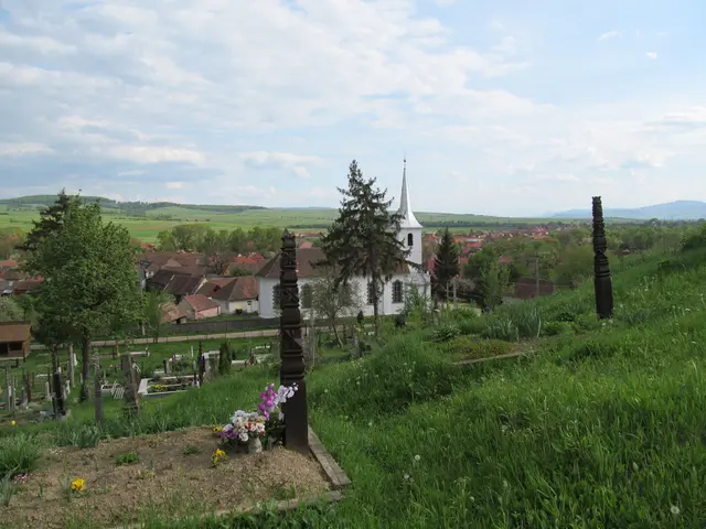 In this image we can see many houses, there are windows, there are many trees, there is grass,...