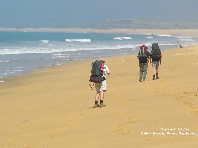 In this image there are three people wearing bags are walking on the beach sand, beside them there...