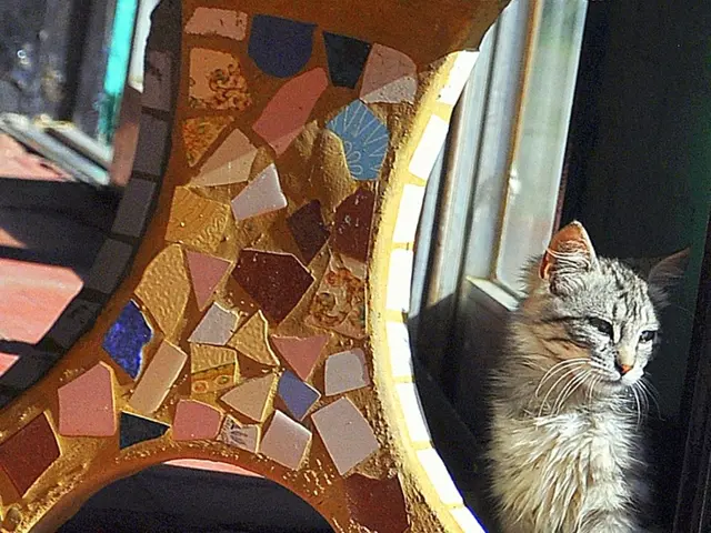 This image is taken outdoors. At the bottom of the image there is a floor. In the middle of the...