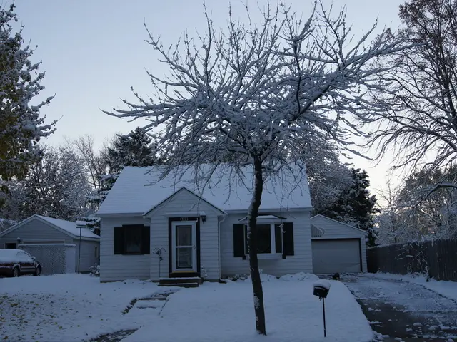 In the foreground of this image, there is snow on the ground. We can also see trees, houses, two...