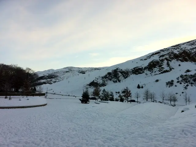 At the bottom of this image, there is snow surface. In the background, there are trees, mountains...