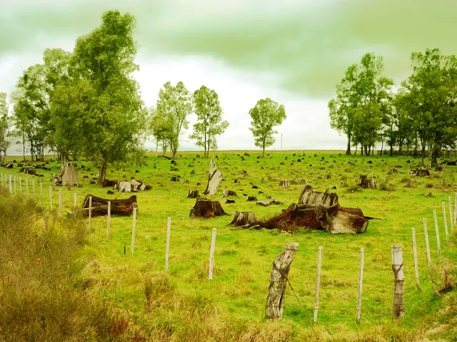 There are few objects and green trees on a greenery ground and there is a fence around it and the...