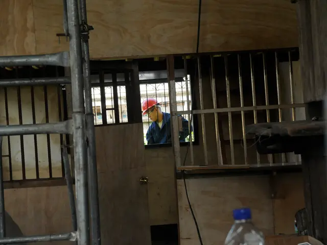 Outside of this window a man is standing wore a red helmet. This is door. This is ladder. This is...