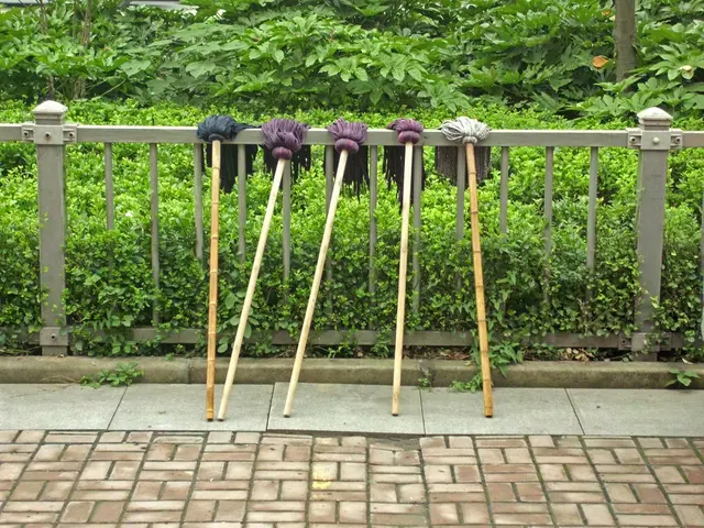 Here in this picture we can see number of mops present on the railing over there and we can also...