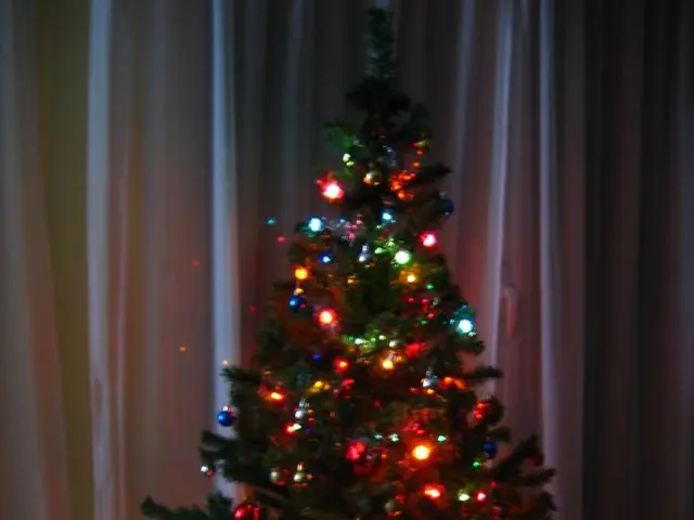 In this image we can see there is a Christmas tree with decoration of lights. At the back there is...