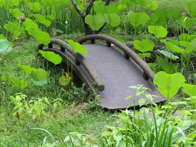 In this image I see a bridge and I see the grass and number of plants and I see a bud over here.