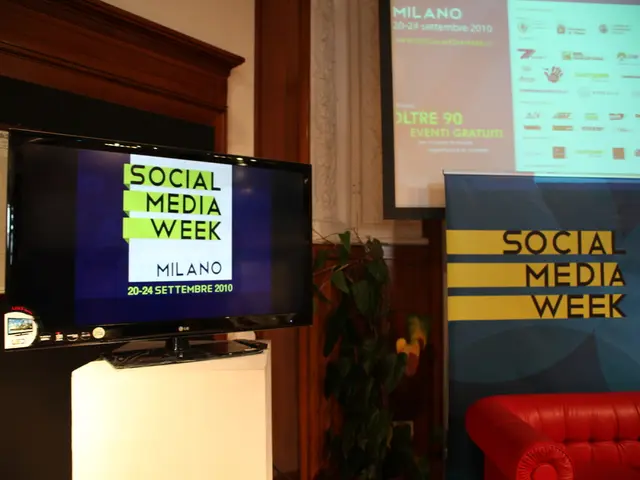 This picture shows two televisions and we see a sofa bed and a plant