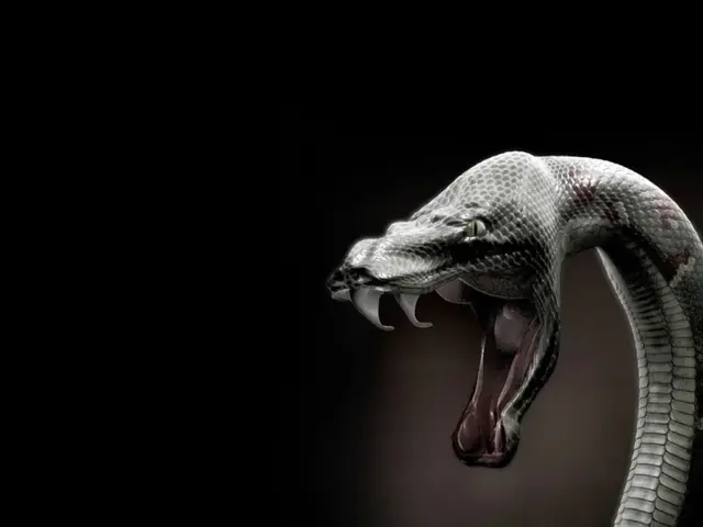 There is a snake. In the background it is dark.