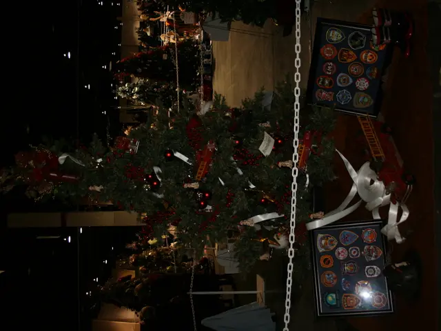 Here we can see a Christmas tree and there are some gifts attached to it on a platform and we can...