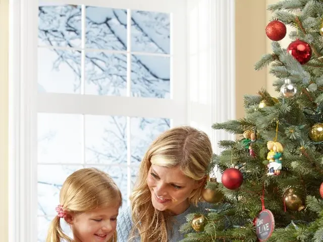 The picture is taken in a house. In the foreground of the picture there is a decorated christmas...